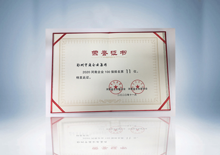 2020河南企業100強(排名第11位)